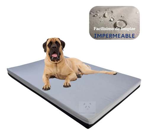 Cama Team Bear Impermeable Soft Rectangular 0,67 x 1,00 x 0,06 Doble Faz Negro Liso Gris Claro - Kod