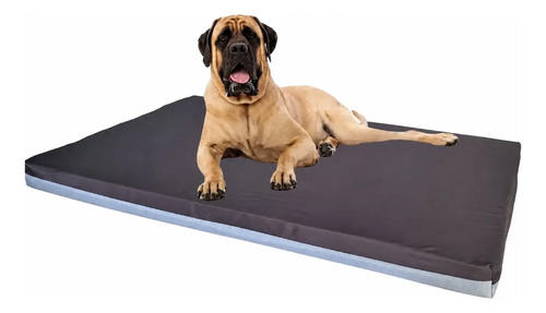 Cama Team Bear Impermeable Mascota Rectangular 0,67 x 1,00 x 0,6 Doble Faz Gris Claro Liso Café Liso